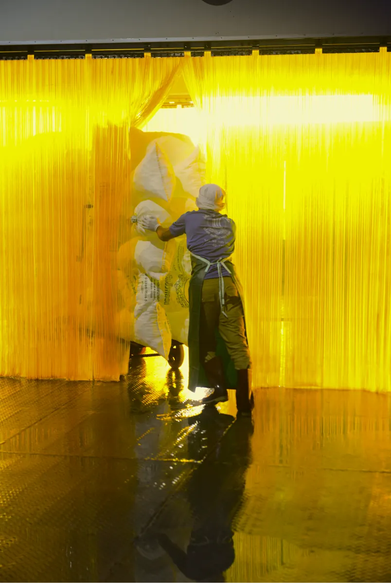 พนักงานโรงน้ำแข็ง กำลังเข็นน้ำแข็งผ่านม่านพลาสติกสีเหลือง